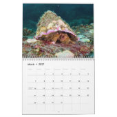 Calendrier du crabe hermite (Mar 2027)