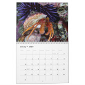 Calendrier du crabe hermite (Jan 2027)