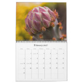 Calendrier du désert de Sonoran pour 2008 (Feb 2027)