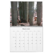 Calendrier du désert de Sonoran pour 2008 (Mar 2026)