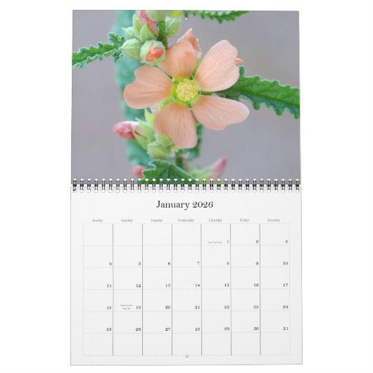 Calendrier du désert de Sonoran pour 2008 (Jan 2026)