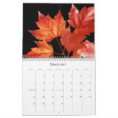 Calendrier du feuillage 2017 d'automne de chute (Mar 2027)