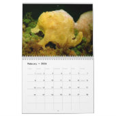 Calendrier du Frogfish 2012 (Feb 2026)