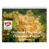 Calendrier du Frogfish 2012 (Protection)
