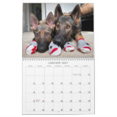 Calendrier du GSD de Jade et Jasper 2021 (Jan 2027)