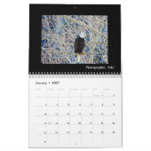 Calendrier du jardin 2018 de Dave (Jan 2027)