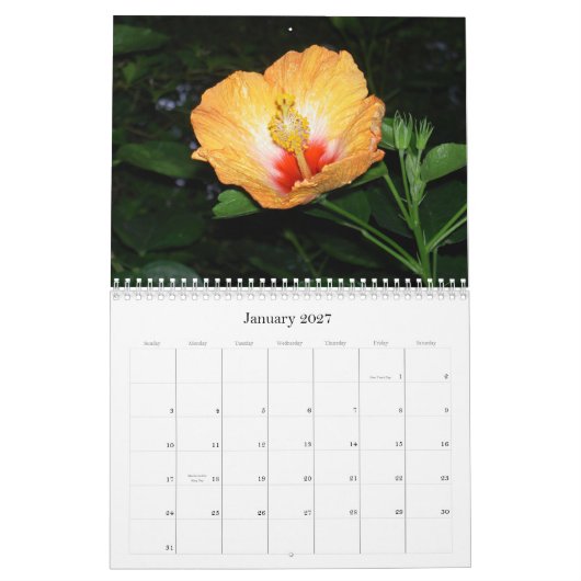 Calendrier du jardin d'agrément 2010 (Jan 2027)