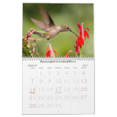Calendrier du jardin d'été (Mar 2027)