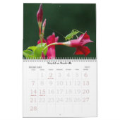 Calendrier du jardin d'été (Feb 2027)