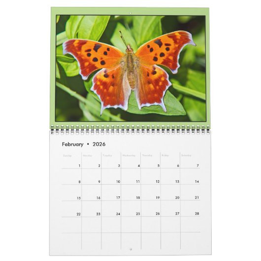 Calendrier du jardin d'été (Feb 2026)
