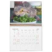 Calendrier du jaspe 2009 (Feb 2026)