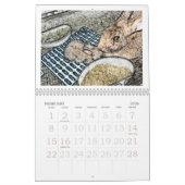 Calendrier du lapin 2011 de Weedscapes (Feb 2026)