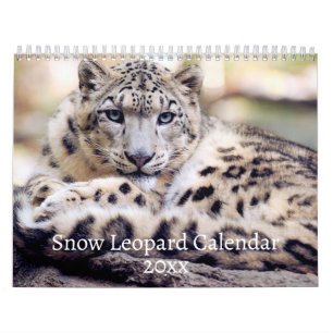 Calendrier du léopard des neiges