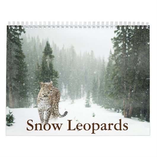 Calendrier du léopard des neiges (Protection)