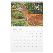 Calendrier du livre photo Deer2 (Jan 2026)