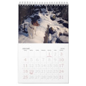 Calendrier du Loki 2017 (Jan 2026)