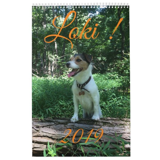 Calendrier du Loki 2019 (Protection)