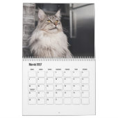 Calendrier du Maine Coon (Mar 2027)