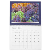 Calendrier du marché agricole 2015 (Feb 2026)