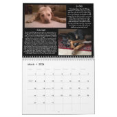 Calendrier du match 2014 de Pawfect (Mar 2026)