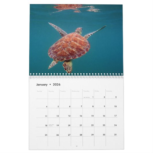 Calendrier du Mexique de Maya de la Riviera (Jan 2026)