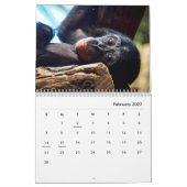 Calendrier du mur de chimpanzé (Feb 2027)