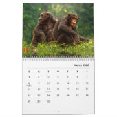 Calendrier du mur de chimpanzé (Mar 2026)