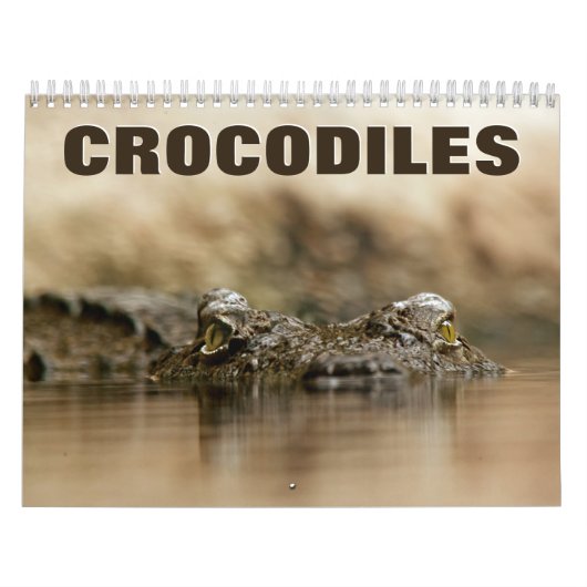 Calendrier du mur de crocodiles (Protection)