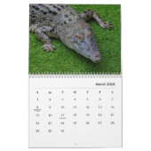 Calendrier du mur de crocodiles (Mar 2026)