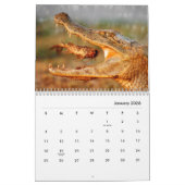 Calendrier du mur de crocodiles (Jan 2026)