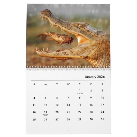 Calendrier du mur de crocodiles (Jan 2026)