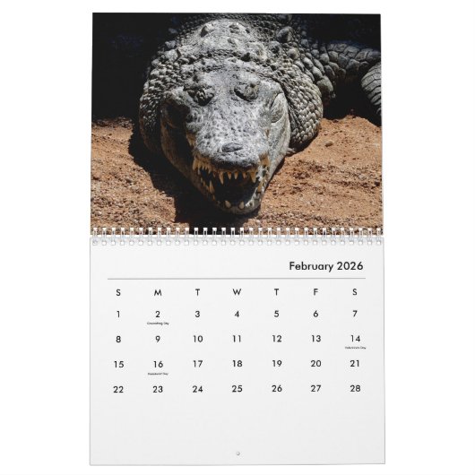 Calendrier du mur de crocodiles (Feb 2026)