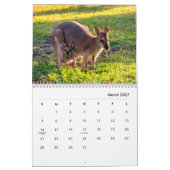 Calendrier du mur de Kangaroos (Mar 2027)