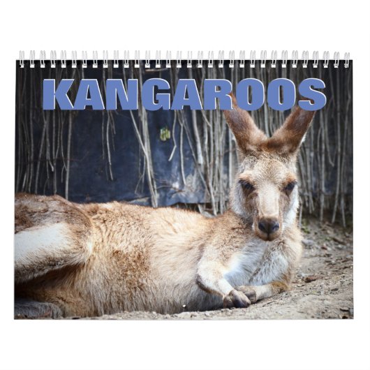 Calendrier du mur de Kangaroos (Protection)