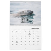 Calendrier du mur de l'ours polaire (Jan 2026)