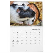 Calendrier du mur de porc de Guinée (Feb 2027)