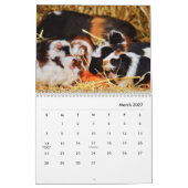 Calendrier du mur de porc de Guinée (Mar 2027)