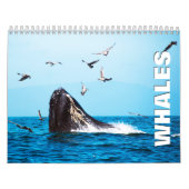 Calendrier du mur des baleines (Protection)