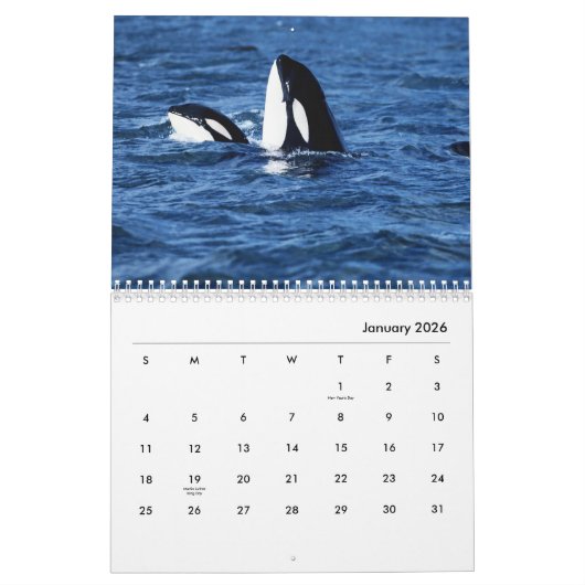 Calendrier du mur des baleines (Jan 2026)