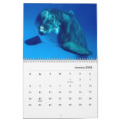 Calendrier du mur des dauphins (Jan 2026)
