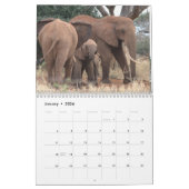 Calendrier du mur des éléphants africains (Jan 2026)