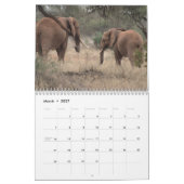Calendrier du mur des éléphants africains (Mar 2027)