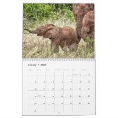 Calendrier du mur des éléphants africains 2021 (Jan 2027)