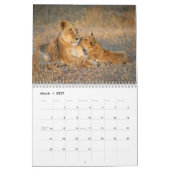 Calendrier du mur des lions (Mar 2027)