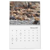 Calendrier du mur des lions de mer (Feb 2027)