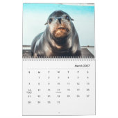 Calendrier du mur des lions de mer (Mar 2027)