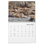 Calendrier du mur des lions de mer (Feb 2026)