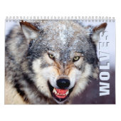 Calendrier du mur des loups (Protection)