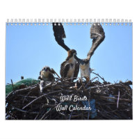 Calendrier du mur des oiseaux sauvages