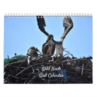 Calendrier du mur des oiseaux sauvages
